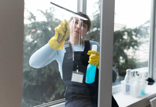Nettoyage de vitres intérieures et extérieures à Brains-sur-Gée